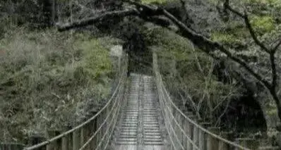 那些年，QQ空间疯传的鬼图