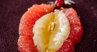 科学家首次绘制出阴蒂所有神经的分布图