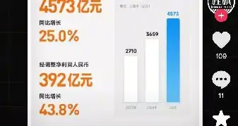 小米、华为、 2025年年度报告对比