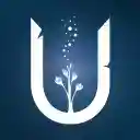 我们之后/After Us