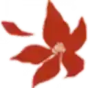 不可逾越的红花～双月～/Crimson Flower: Lunar Coupling