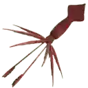 鱿鱼攀峰/Squidding Over It