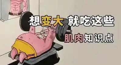 吃什么才能变大，人体小知识，赶紧收藏学习！