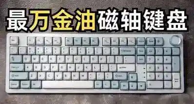 目前最万金油的磁轴键盘|青龙4.0 TMR