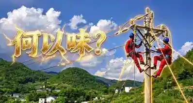 霓虹百年前遗留的病根！至今没人敢根治！