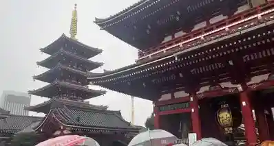 关于我在烟雨中于浅草寺和大凤老婆约会的故事